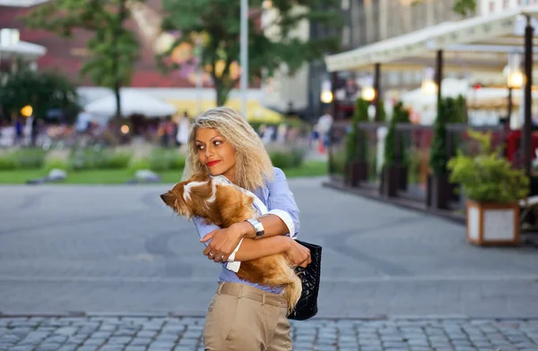 Woman with chihuahua. — Stock Photo, Image