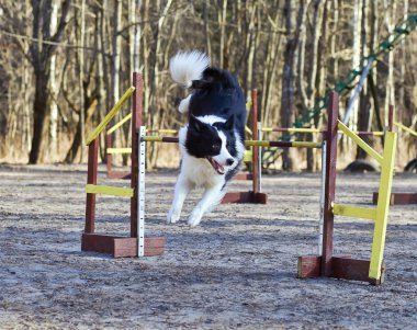 kenar kömür ocağı