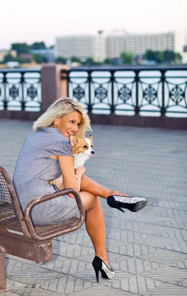 Vrouw met chihuahua. — Stockfoto