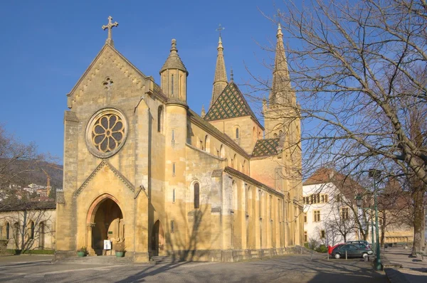 Cathedral in Neuchatel — Stock Photo, Image