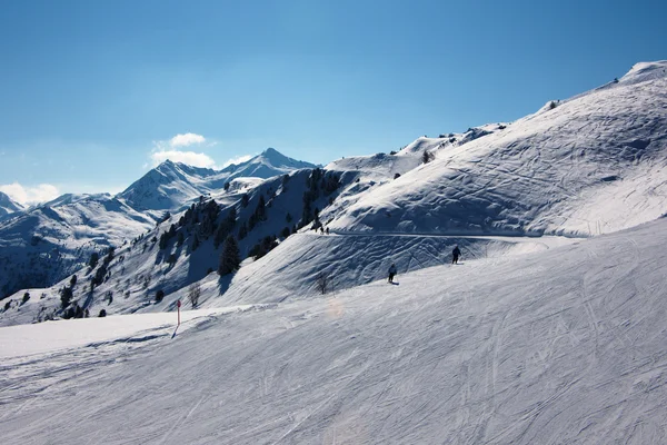 Лыжники на лыжных трассах — стоковое фото