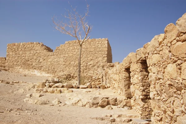 Paredes arruinadas de Masada — Fotografia de Stock