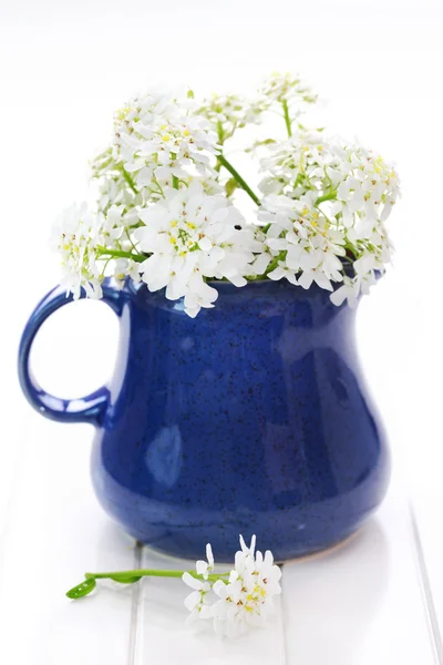 Tavaszi virágok vázában — Stock Fotó