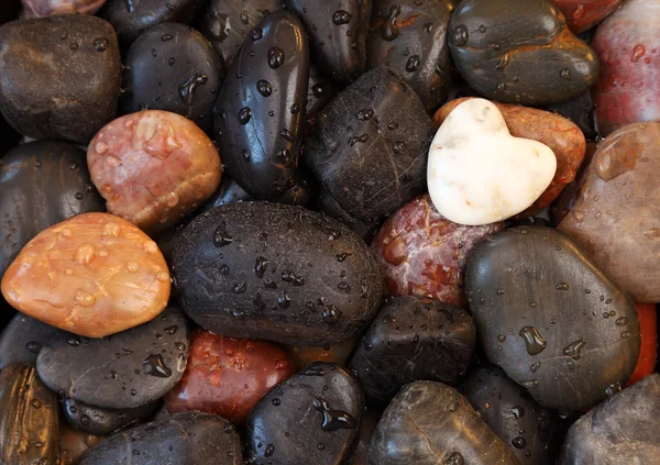 Corazón de piedra blanca rodeado de otras piedras — Foto de Stock