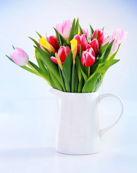 Jarní květiny Stock Fotografie