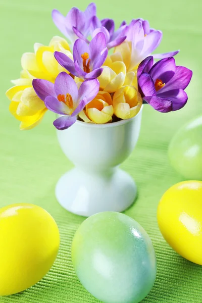 Mooie Krokussen voor Pasen — Stockfoto