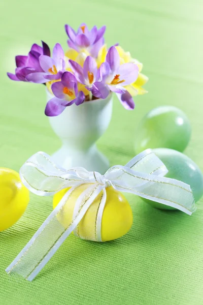 Piękne krokusy na Wielkanoc — Zdjęcie stockowe