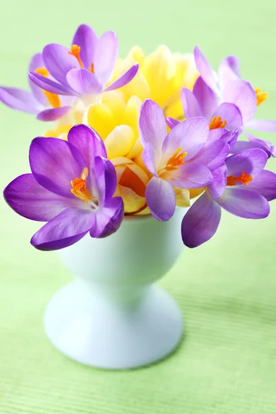Beautiful Crocuses for Easter — Stock Photo, Image