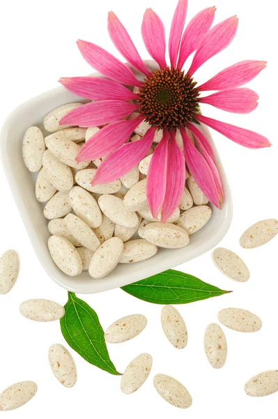 Echinacea purpurea extract pills, alternative medicine concept Stock Image
