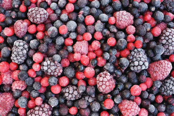 El primer plano de la fruta congelada mezclada - las bayas - la grosella roja, el arándano, la frambuesa —  Fotos de Stock