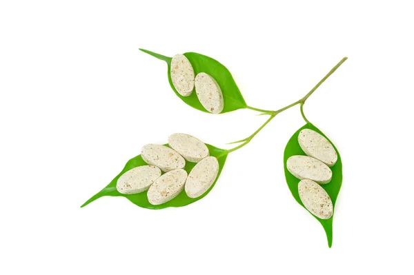 Natürliche Nahrungsergänzungspillen und frische Blätter - Konzept der alternativen Medizin — Stockfoto
