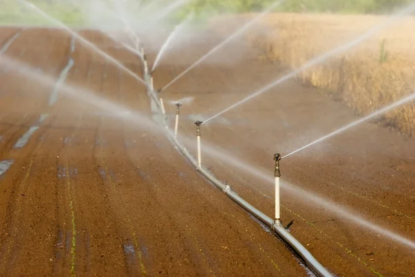 Sistema di irrigazione — Foto Stock
