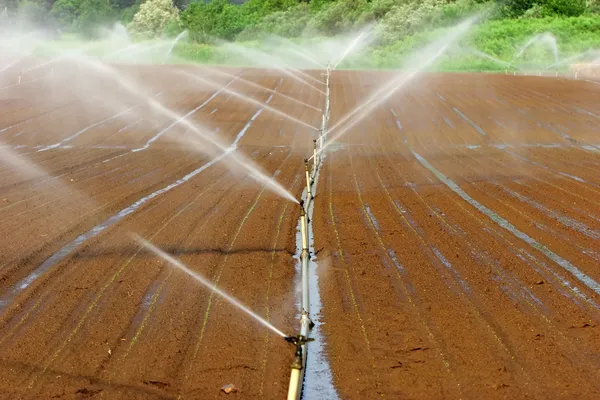 Bewässerungssystem — Stockfoto