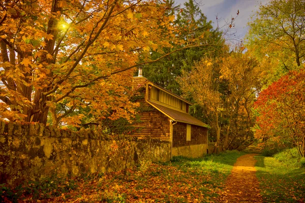 Autumn pathway — Stock Photo, Image