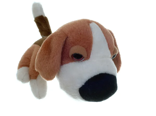 Puppy toy — Stock Photo, Image
