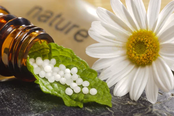 Medicina alternativa con homeopatía —  Fotos de Stock