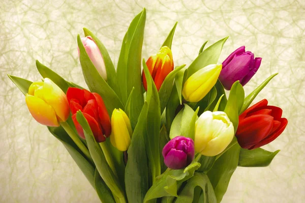 Velikonoční tulipány — Stock fotografie
