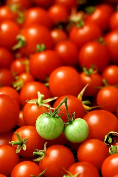 Two green tomatoes on many red tomatoes — Stock Photo, Image