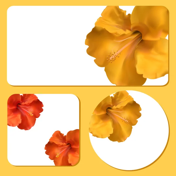 Floral φόντο πρότυπα — Διανυσματικό Αρχείο