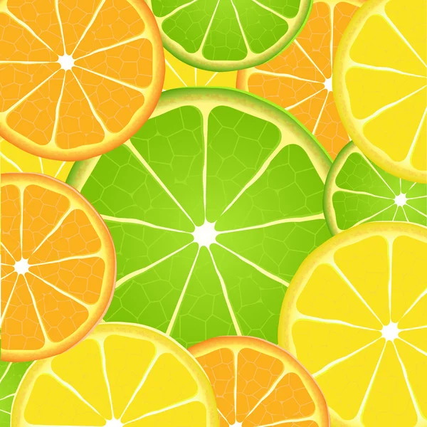 柑橘系の果物のスライスの背景 — ストックベクタ