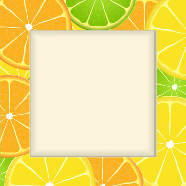 柑橘类水果切片框架背景 — 图库矢量图片