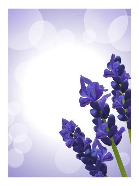 Lavender background 2 — Stock Vector