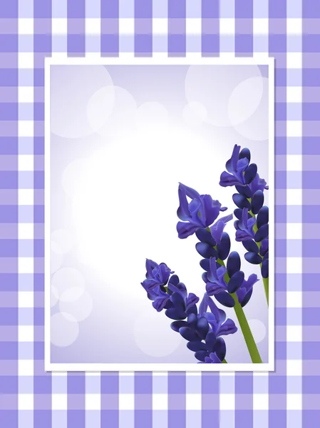 Lavender on a gingham background — Stock Vector