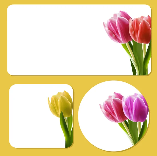 Modelli di sfondo tulipano — Vettoriale Stock
