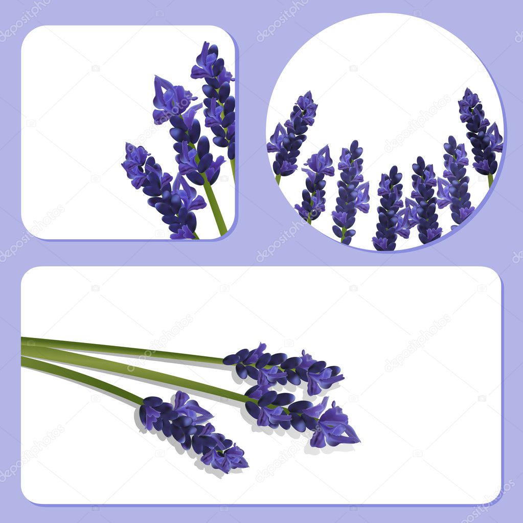 Lavender background templates