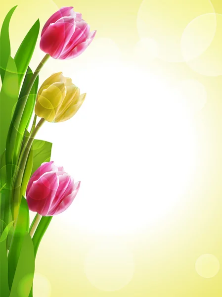Fundo tulipa amarelo e rosa — Vetor de Stock