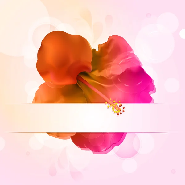 Hisbiscus 花とバナー — ストックベクタ