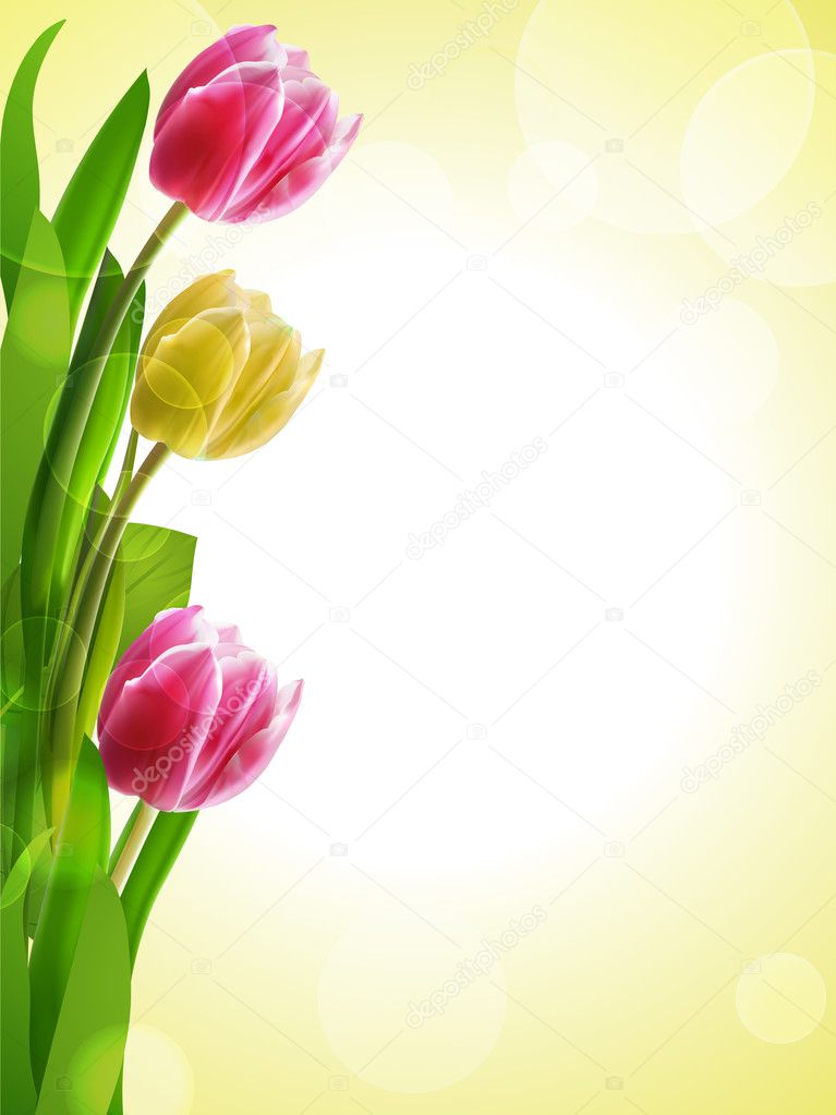 Tulip background yellow and pink