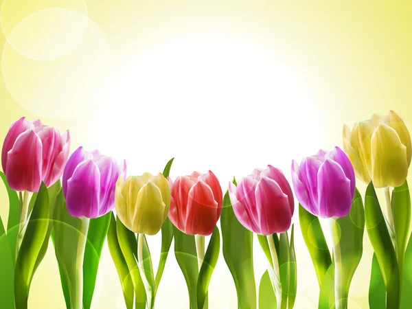 Tulipes sur un backgorund jaune — Image vectorielle