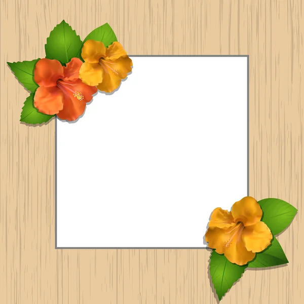 Hibiscus bloemen en een houten frame — Stockvector