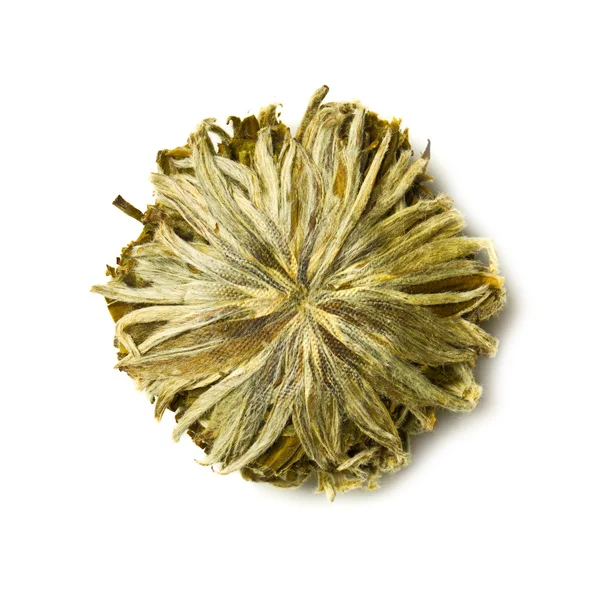 Kvetoucí zelený čaj — Stock fotografie