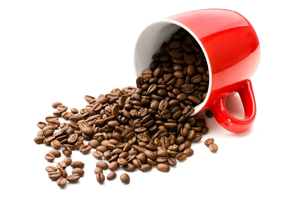 Tasse colorée avec grains de café — Photo