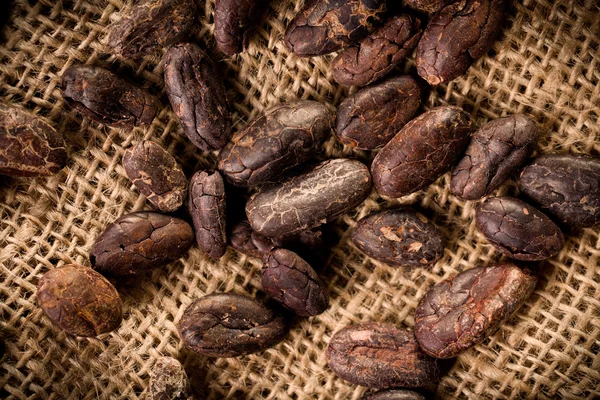 Cocoa beans on burlap background — Stock Photo, Image