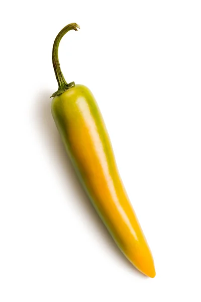 Chili papričky jalapeňos — Stock fotografie