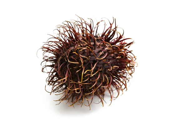 Gyümölcs RAMBUTAN — Stock Fotó