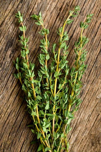 Thyme herb — Stock Photo, Image