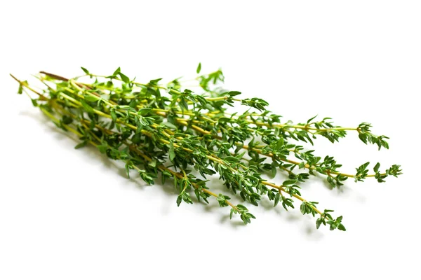 Thyme herb — Stock Photo, Image