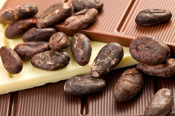 Várias barras de chocolate com grãos de cacau — Fotografia de Stock