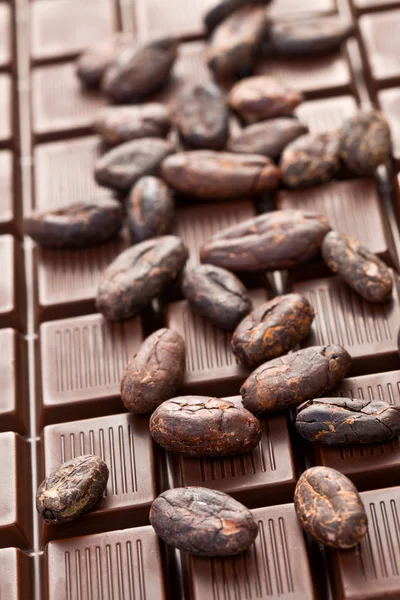 Schokolade und Kakaobohnen — Stockfoto