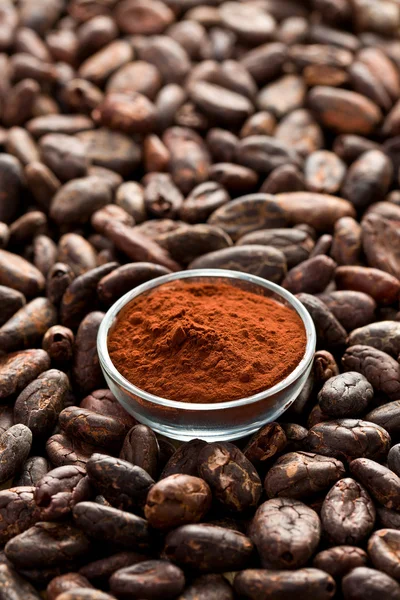 Fèves de cacao et poudre de cacao — Photo