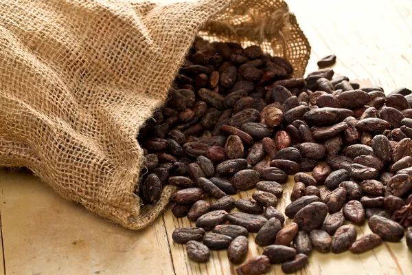 Bolsa de yute con granos de cacao —  Fotos de Stock