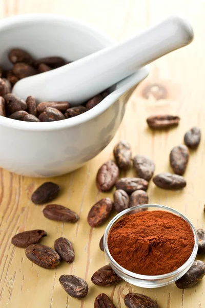 Kakao çekirdekleri ve kakao tozu — Stok fotoğraf