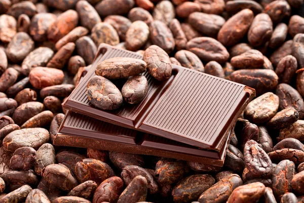 Čokoláda a kakaové boby — Stock fotografie