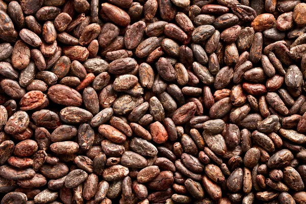Kakaobohnen Hintergrund — Stockfoto