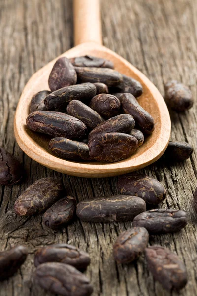 Какао-бобы в деревянной ложке — стоковое фото
