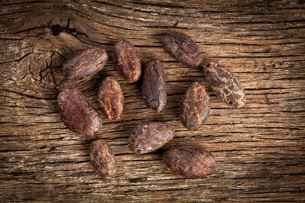 Kakaobohnen — Stockfoto